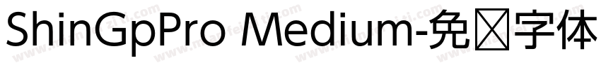 ShinGpPro Medium字体转换
